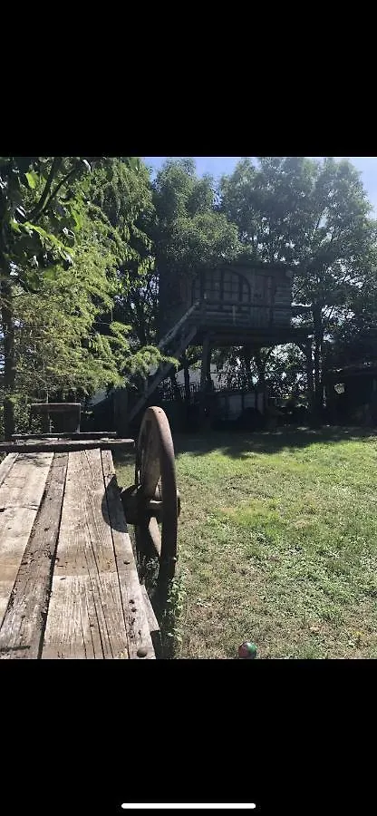 Cabane Dans Les Arbres 7Metres De Hauteur Tanavelle